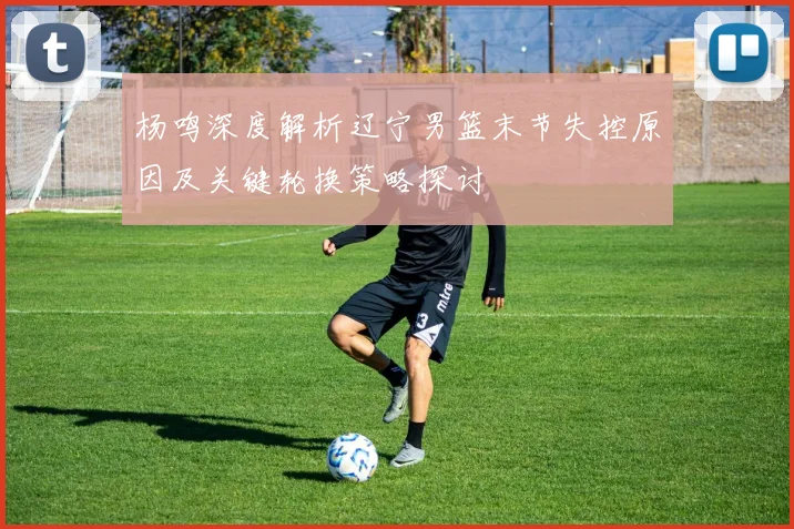 杨鸣深度解析辽宁男篮末节失控原因及关键轮换策略探讨