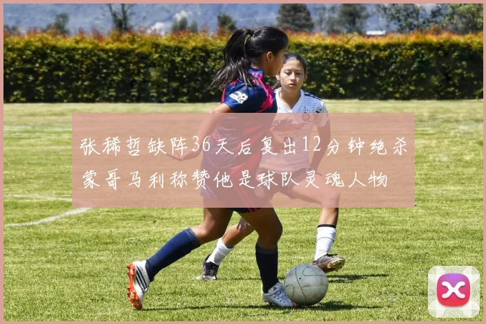 张稀哲缺阵36天后复出12分钟绝杀蒙哥马利称赞他是球队灵魂人物