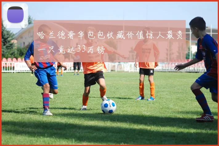 哈兰德奢华包包收藏价值惊人最贵一只竟达33万镑